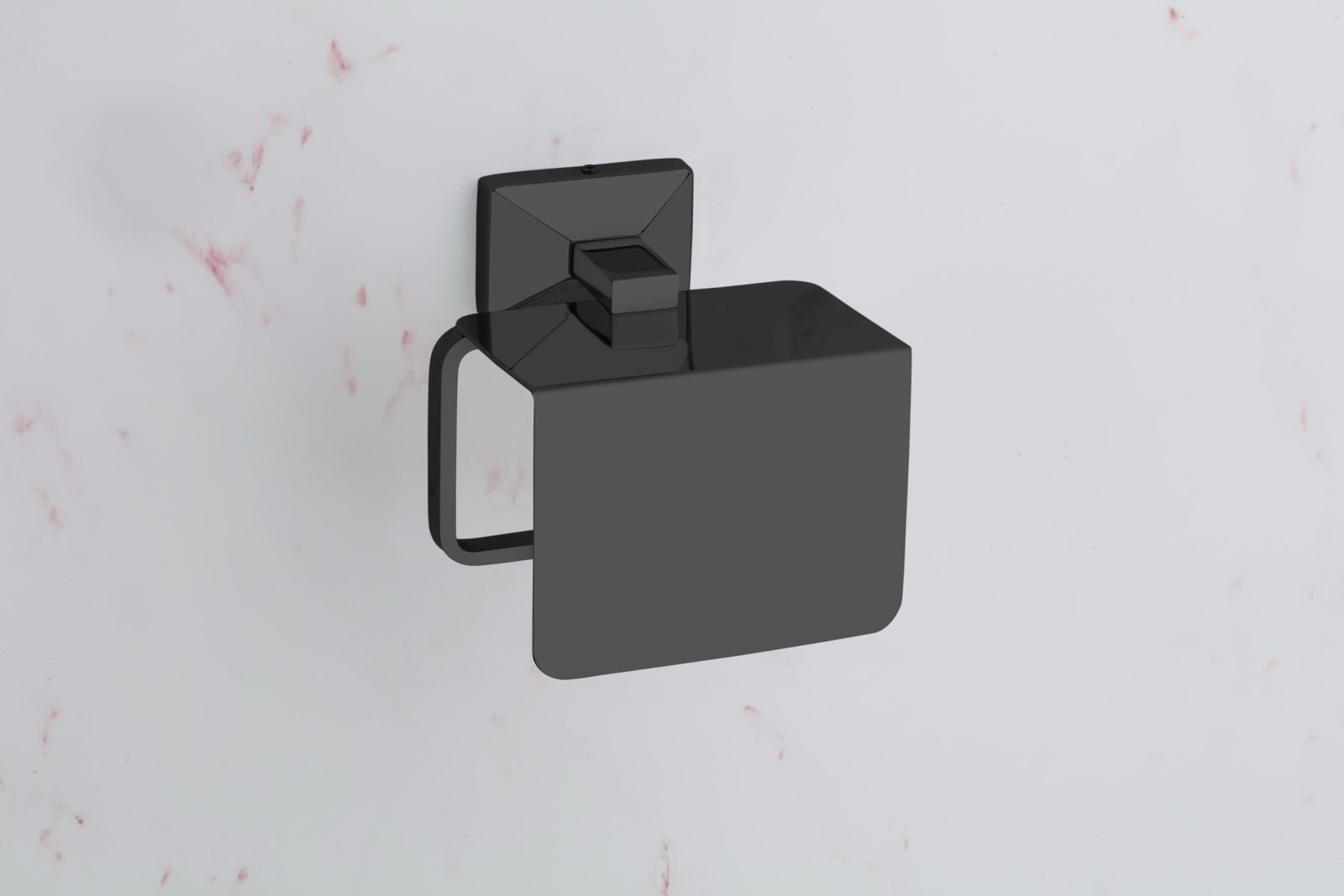 Paper Holder Ss 304 ( Delta Black )